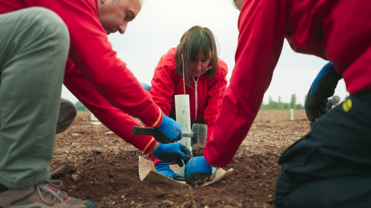 221010 - Nova Conad_1.10.1.jpg